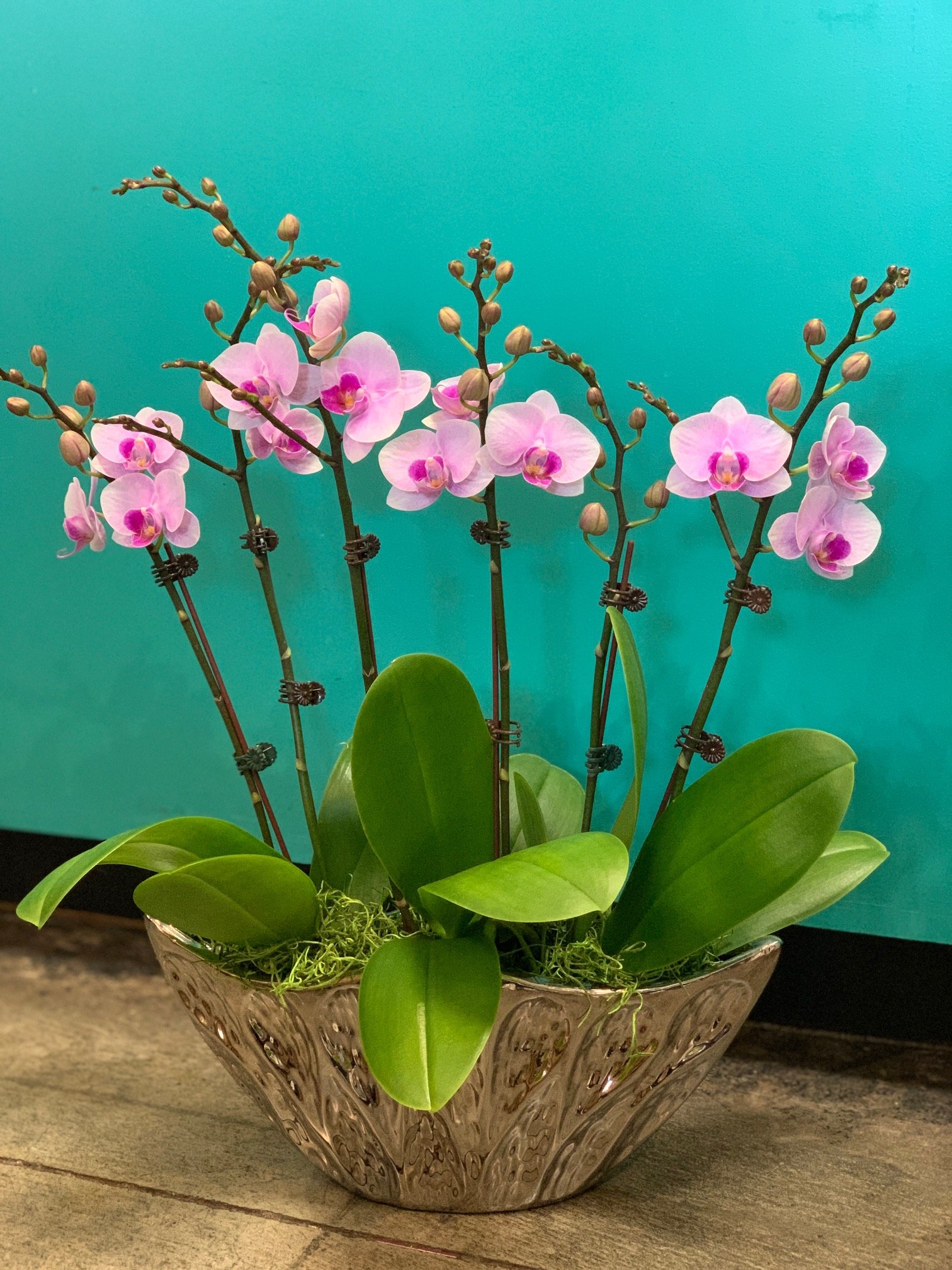Orchid Arrangement #03 – Kimanh Flowers