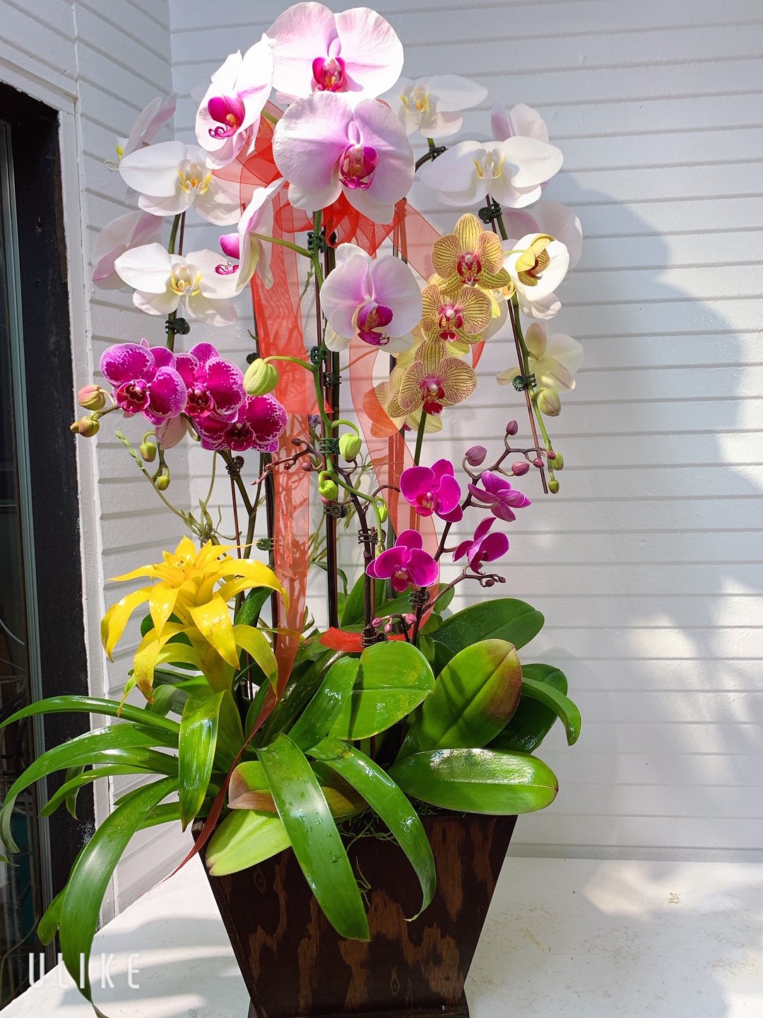 Orchid Arrangement #04 – Kimanh Flowers